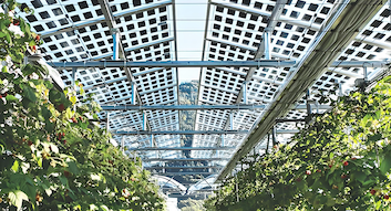 Jüngste Firmenblogs über Italien veröffentlicht neue Vorschriften zur Standortauswahl für Solarprojekte und zu Steueranreizen für Solarenergie